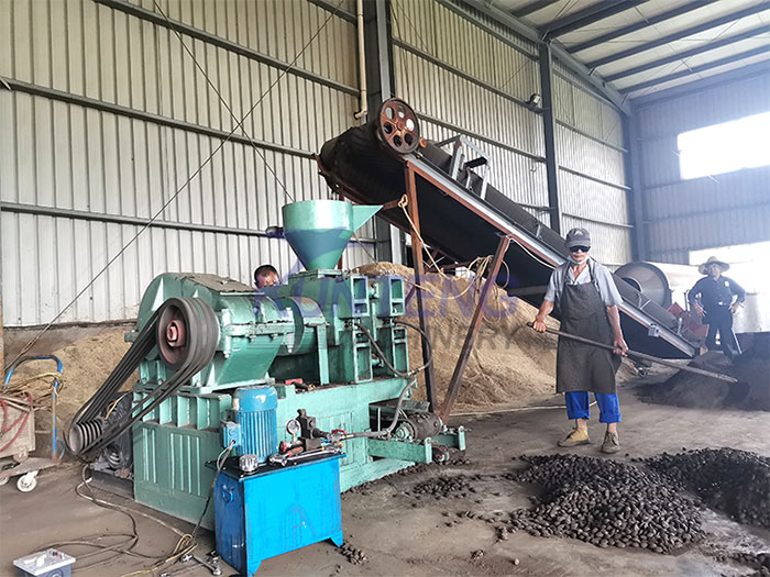 Client site of dust removal double roller press ball making machine 