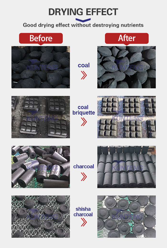 Application of charcoal briquettes mesh belt dryer