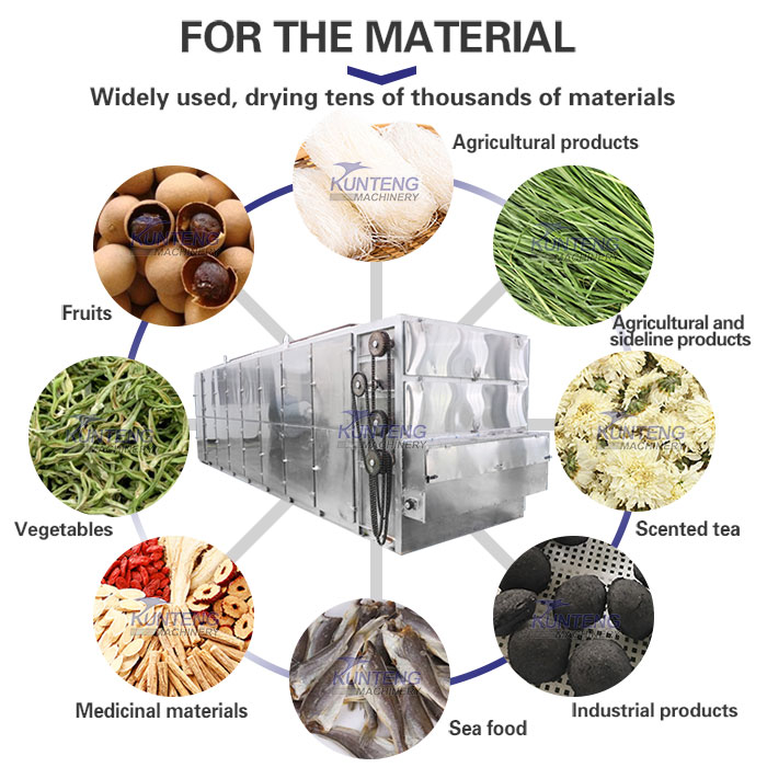 Application of coal briquettes mesh belt dryer